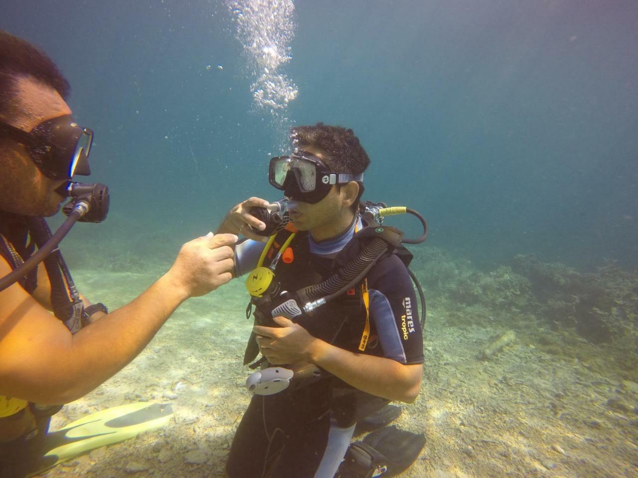 Blue Shark Divers ブナケン エクステリア 写真