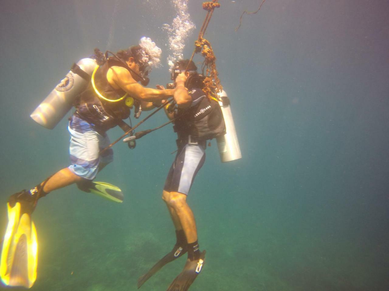 Blue Shark Divers ブナケン エクステリア 写真